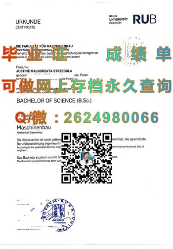 波鸿鲁尔大学文凭面试突破：舞动艺术殿堂的节拍）