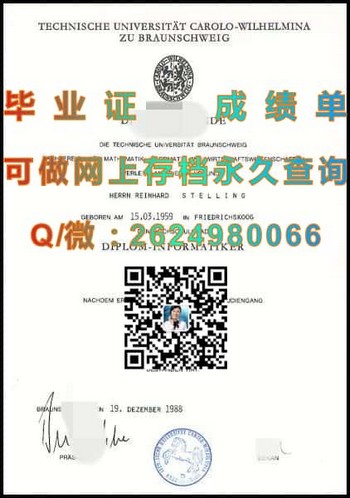 解密德国不伦瑞克工业大学毕业证，助你一步登天！）