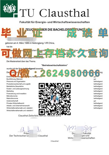 德国克劳斯塔尔工业大学文凭：开启技术创新之路）