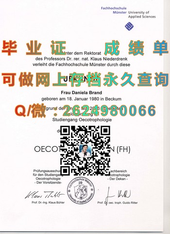 德国明斯特大学文凭：迈向国际职业巅峰）