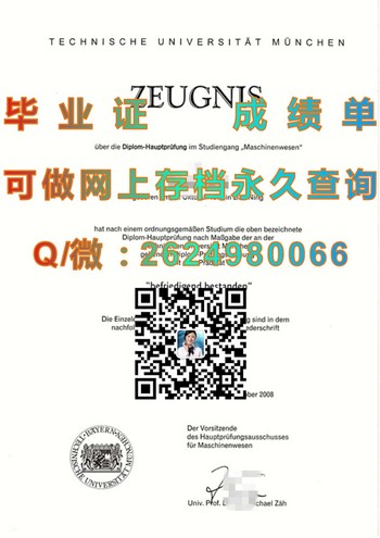 成就梦想之路：德国慕尼黑工业大学文凭助力）