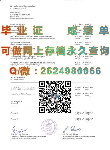 德国魏玛大学文凭：实现职业梦想的关键）