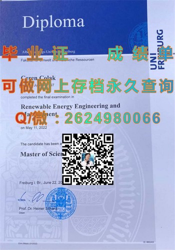 跃升国际舞台：德国弗莱堡大学毕业证的竞争优势）