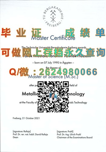 德国弗赖贝格工业大学毕业证：跨越职业边界的神奇钥匙）
