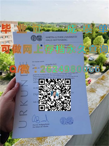 哈雷—维滕贝格大学文凭：迈向职业高峰的捷径）