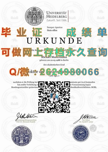德国海德堡大学文凭就业指南：开启职业成功之门）