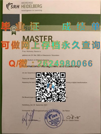 海德堡应用技术大学毕业证模版、文凭参考、学位证、成绩单图片.jpg