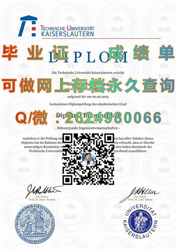 凯泽斯劳滕工业大学毕业证模版、文凭参考、学位证、成绩单图片.jpg