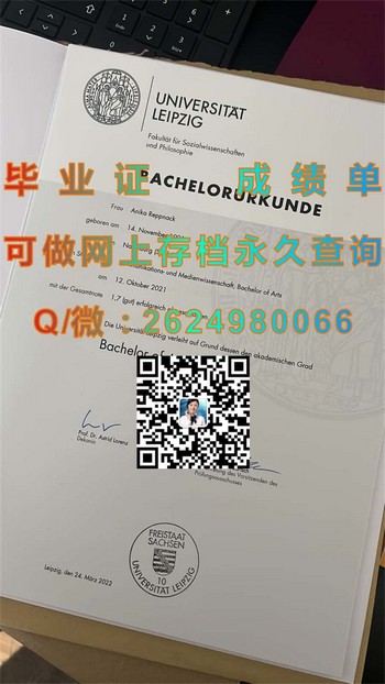 德国莱比锡大学毕业证持有者如何在职场脱颖而出）