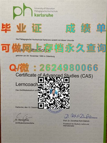 路德维希堡师范学院毕业证加冕职场精英之路）
