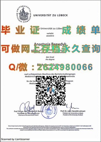 职场宝典：德国吕贝克大学毕业证持有者的成功必备）