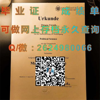 德国曼海姆大学毕业证攻略：解锁成功就业的秘诀）