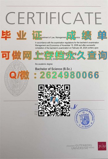 德国美因茨大学毕业证解读：揭秘顶级院校的学位荣誉）