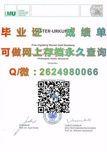 如何获得德国慕尼黑大学文凭？学霸攻略揭秘！）