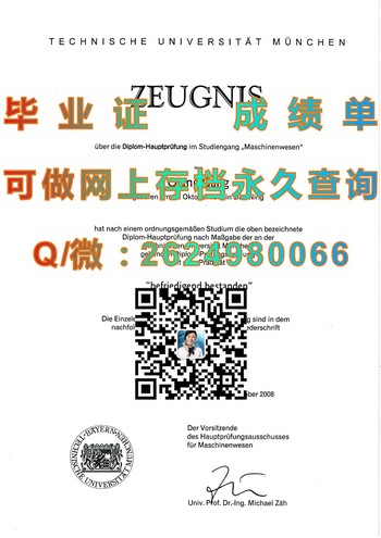 慕尼黑工业大学文凭：你必须知道的秘密！）