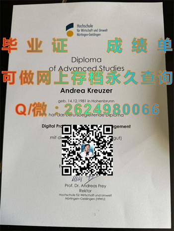 开创未来！获得德国尼尔廷根应用技术大学毕业证文凭的秘诀）