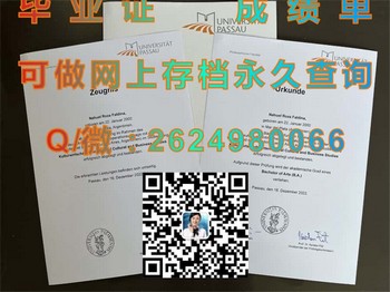 即刻成为技术精英！德国帕绍大学毕业证文凭攻略）