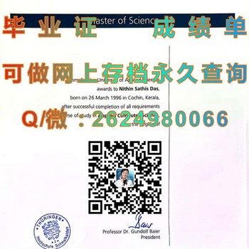 超越梦想！德国施马卡尔登应用技术大学毕业证文凭的力量）