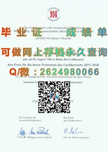 希尔德斯海姆大学毕业证文凭留念，一起庆祝学业的成果！）