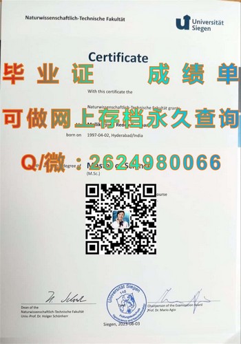 德国锡根大学毕业证文凭专业规划及就业前景）