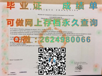 巴黎第十一大学毕业证模版、文凭参考、学位证、成绩单图片.jpg