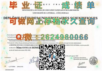 滨海大学毕业证模版、文凭参考、学位证、成绩单图片.jpg