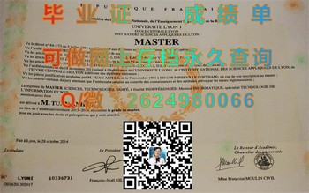 里昂第一大学毕业证模版、文凭参考、学位证、成绩单图片.jpg