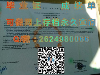 蒙波利埃第一大学毕业证模版、文凭参考、学位证、成绩单图片.jpg
