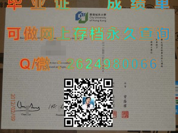 未来职场的瑞士军刀：香港城市大学毕业证）