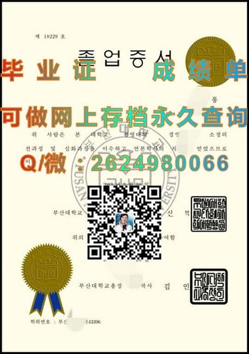 釜山国立大学毕业证_副本 - 副本毕业证模版、文凭参考、学位证、成绩单图片.jpg