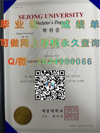 韩国世宗大学毕业证解密：背后的故事与成就）