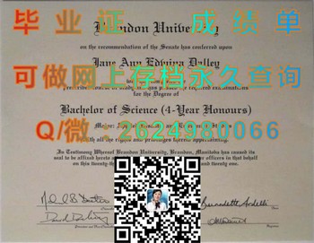 布兰登大学毕业证模版、文凭参考、学位证、成绩单图片.jpg