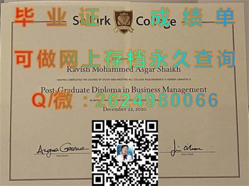 塞尔寇克学院毕业证：开启艺术与技术融合之旅）