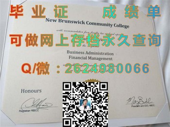 新布伦兹维克社区学院文凭：迈向理想职业的关键一步）
