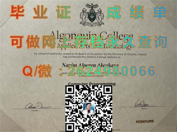 掌握技能，开创未来：加拿大亚冈昆应用艺术及技术学院文凭的价值）