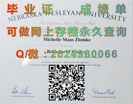 《法国威勒高等商学院毕业证书含金量揭秘：国际认可度与就业优势一览》）
