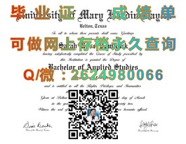 《柏林应用科学大学毕业证含金量揭秘：如何获取国际认可的学位证书》）