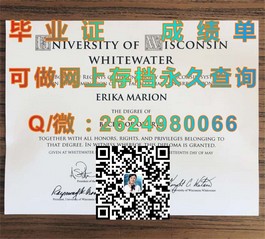 《布里斯托大学学位证书解析：如何获取全球认可的毕业文凭》）