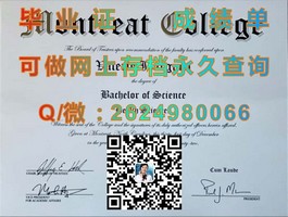 《卧龙岗大学文凭揭秘：获取国际认可的学位之路》）