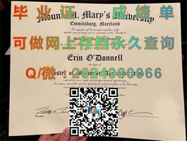 《慕尼黑工业大学毕业证书：揭秘全球工程精英的通行证》）