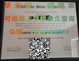 《S.P.Jain管理学院毕业证揭秘：含金量如何，就业前景如何？》）