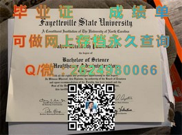 《都柏林理工学院毕业证揭秘：全球认可的教育成果展示》）
