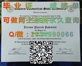 《柏林应用科学大学毕业生证背后的故事：揭秘国际认可与就业前景》）