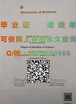《新加坡共和理工学院毕业证书解读：留学回国就业的“金钥匙”》）