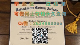 《揭秘杏林大学含金量：毕业证书背后的国际认可与就业优势》）