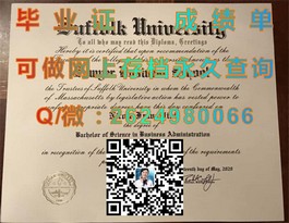 《揭秘新南威尔士大学毕业证书的含金量与申请攻略》）