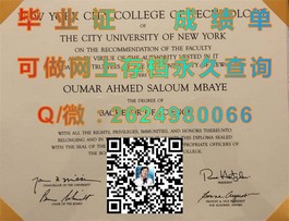 《解锁未来：揭秘埃迪斯科文大学毕业证书的含金量与优势》）