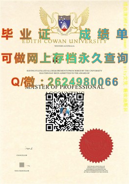 《德克萨斯大学官方毕业证书揭秘：权威认证，留学求职的黄金敲门砖》）