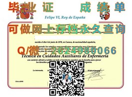 《卧龙岗大学官方认证毕业证详解：获取途径与价值解析》