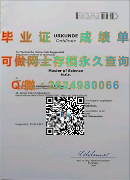 《新加坡共和理工学院毕业证书揭秘：含金量如何，就业前景展望》）